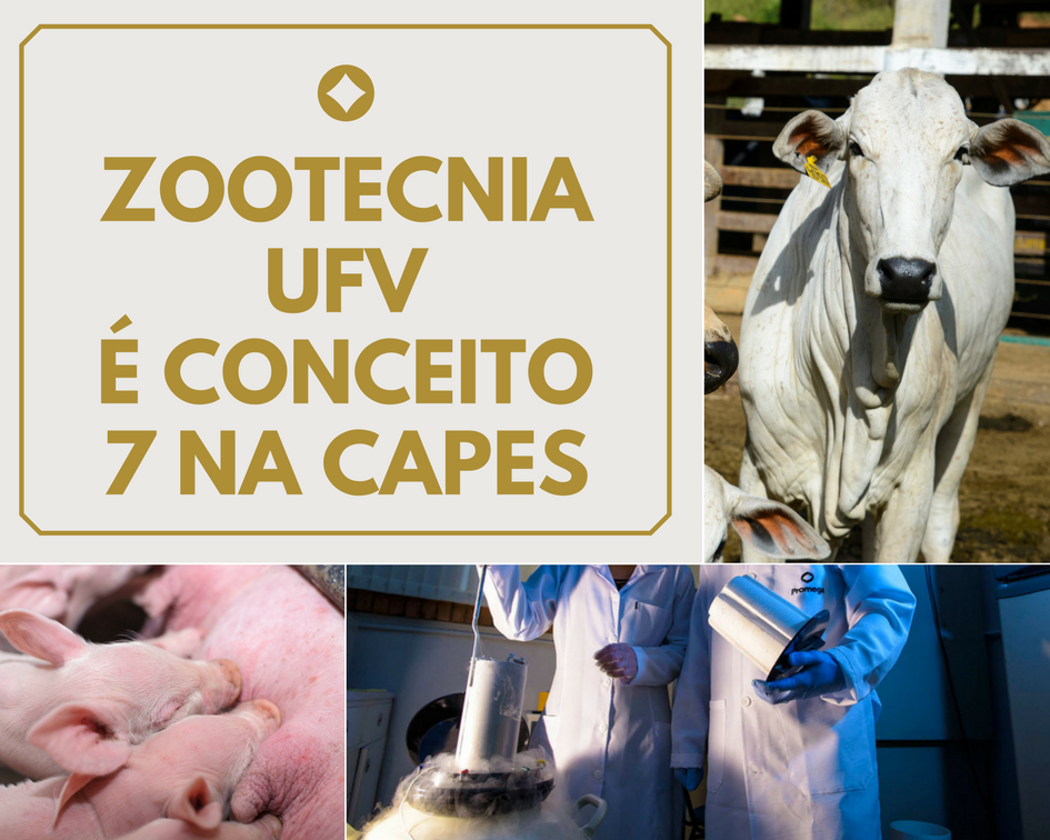 Zootecnia ufvconceito 7 na capes